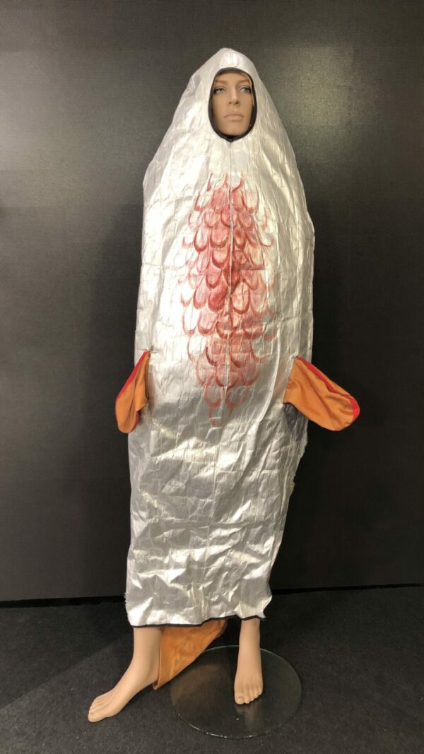 Fiskdräkt - Bild 2